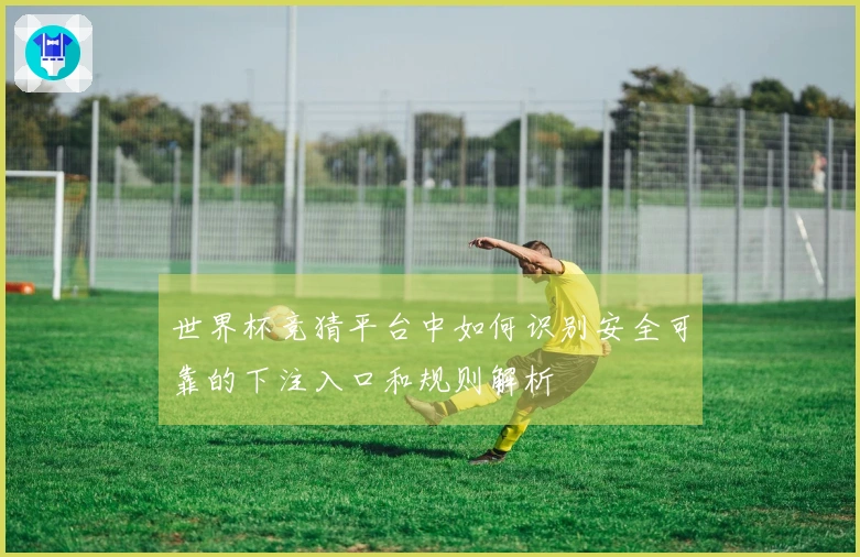 世界杯竞猜平台中如何识别安全可靠的下注入口和规则解析