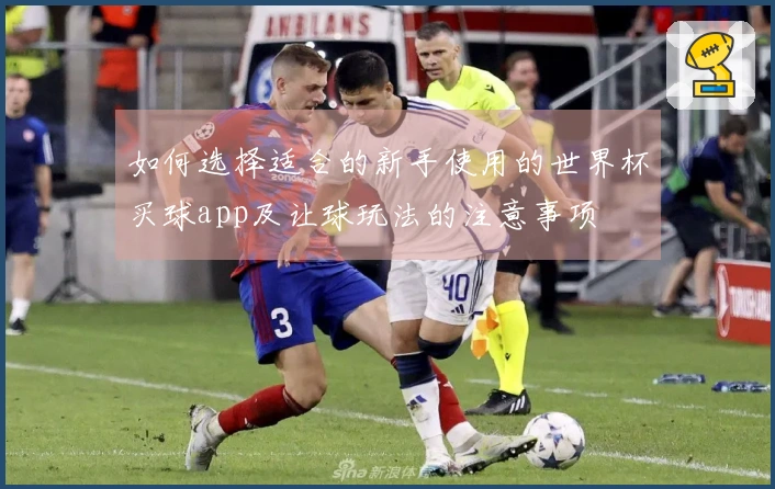 如何选择适合的新手使用的世界杯买球app及让球玩法的注意事项