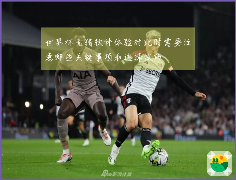 世界杯竞猜软件体验对比时需要注意哪些关键事项和选择技巧